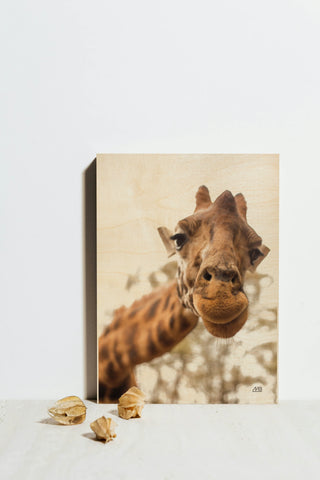 Funny Face I Print