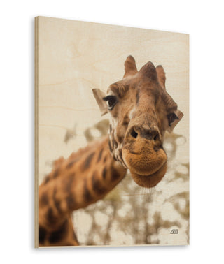 Funny Face I Print