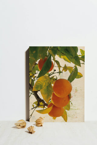 Oranges I Print