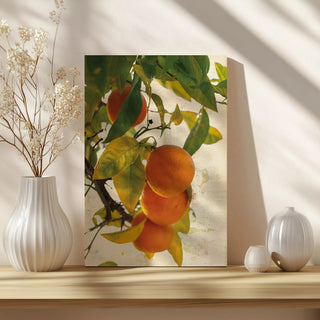 Oranges I Print