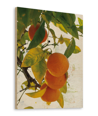 Oranges I Print