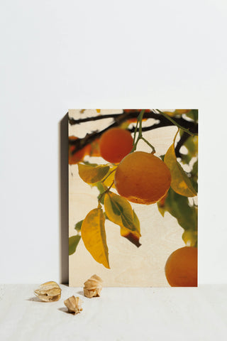 Oranges II Print