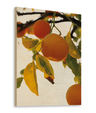 Oranges II Print