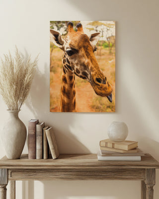 Silly Giraffe I Print