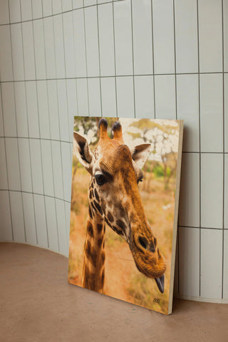 Silly Giraffe I Print