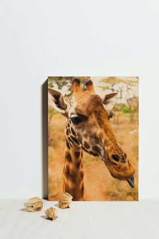 Silly Giraffe I Print