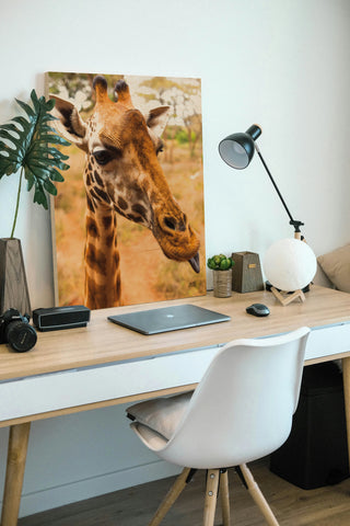 Silly Giraffe I Print