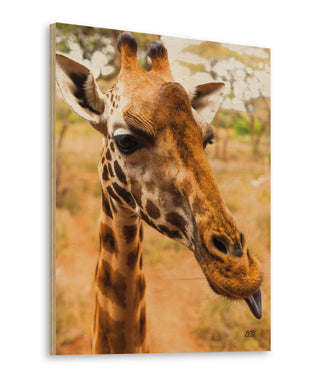 Silly Giraffe I Print