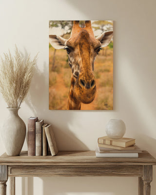 Silly Giraffe II Print