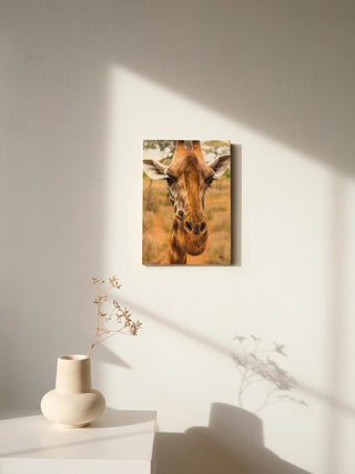 Silly Giraffe II Print