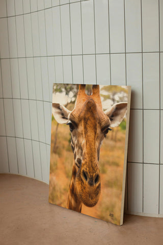 Silly Giraffe II Print