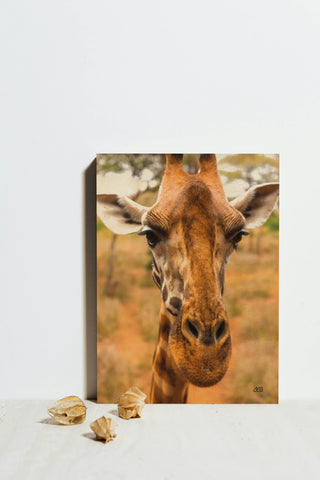 Silly Giraffe II Print