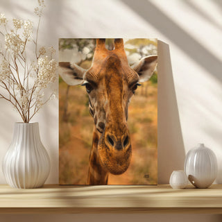 Silly Giraffe II Print