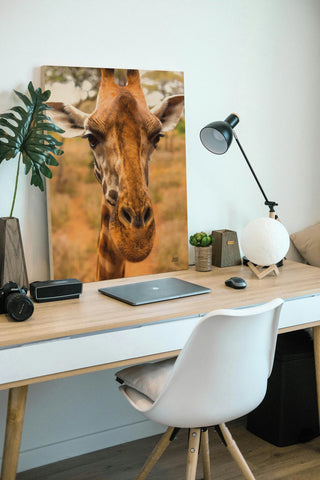 Silly Giraffe II Print