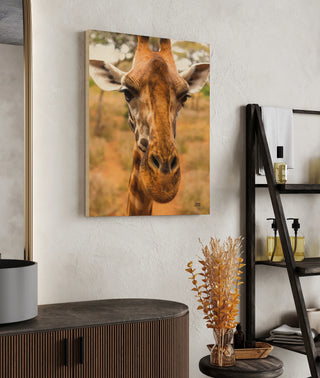 Silly Giraffe II Print