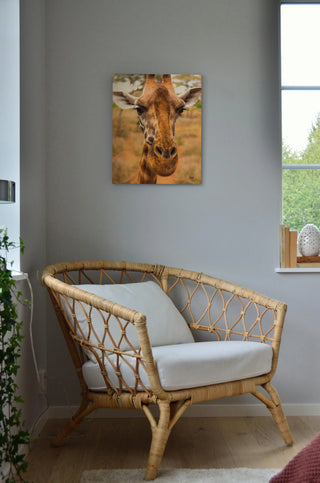 Silly Giraffe II Print