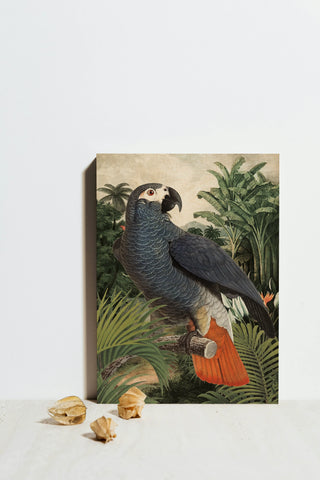 Jungle Parrot I Print
