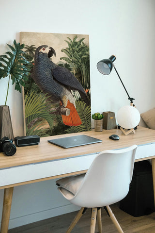 Jungle Parrot I Print