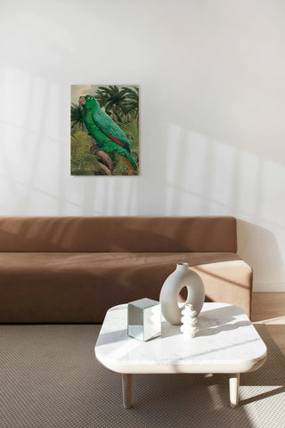 Jungle Parrot II Print
