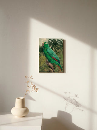 Jungle Parrot II Print