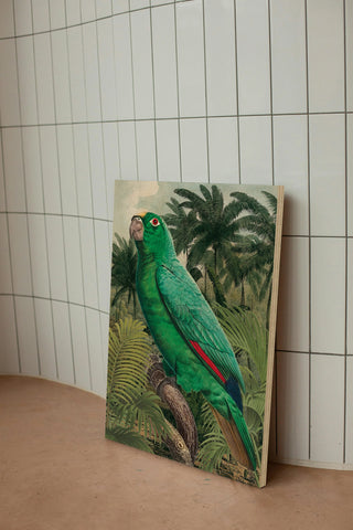 Jungle Parrot II Print