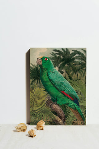 Jungle Parrot II Print