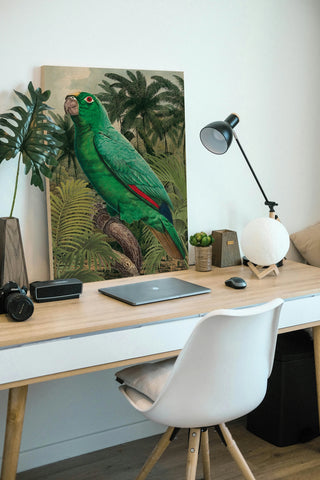 Jungle Parrot II Print