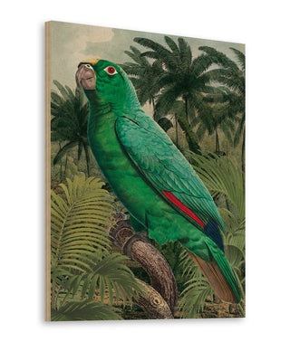Jungle Parrot II Print