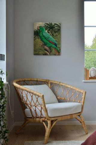 Jungle Parrot II Print