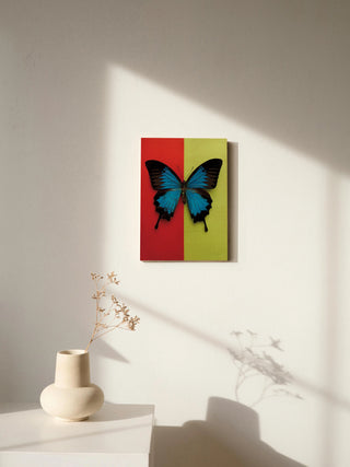 Chromatic Butterfly I Print