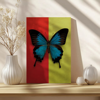 Chromatic Butterfly I Print