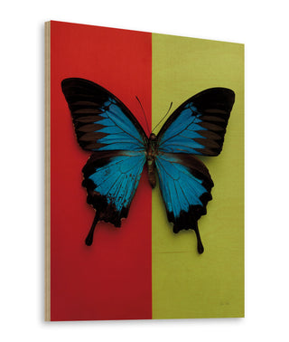 Chromatic Butterfly I Print