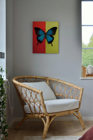 Chromatic Butterfly I Print