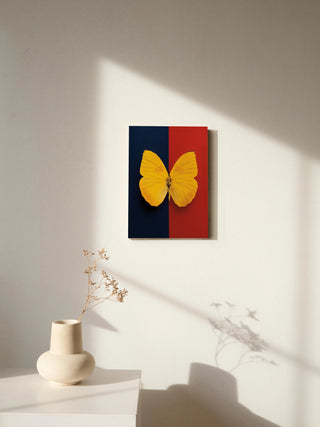 Chromatic Butterfly II Print