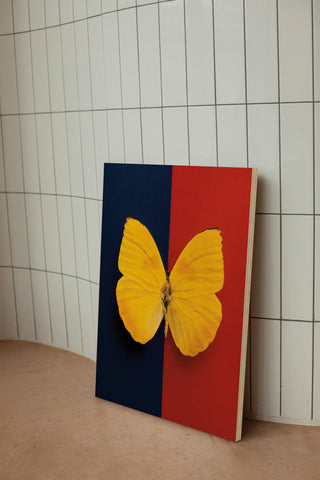 Chromatic Butterfly II Print