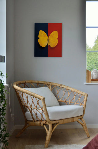 Chromatic Butterfly II Print