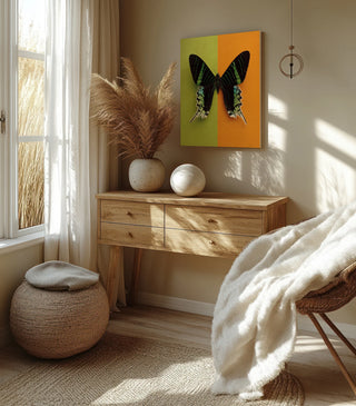 Chromatic Butterfly IV Print