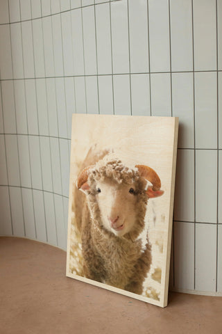 Little Lamb Print