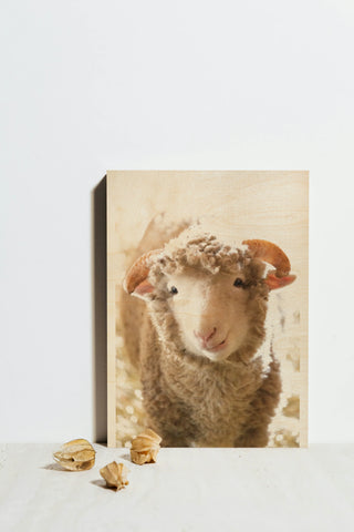 Little Lamb Print