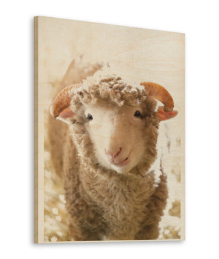 Little Lamb Print