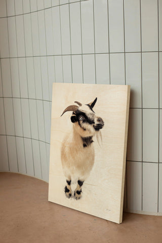 Two Little Goats I Print