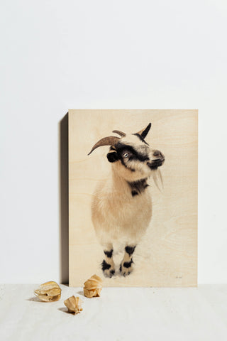 Two Little Goats I Print