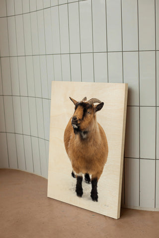 Two Little Goats II Print