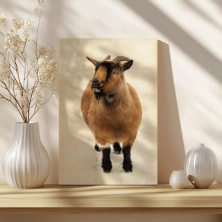 Two Little Goats II Print