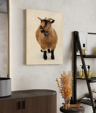 Two Little Goats II Print