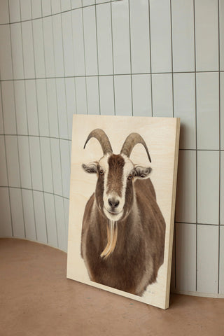 Susan the Goat Print