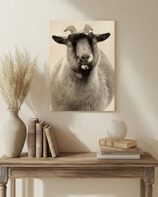 Sally the Goat Print