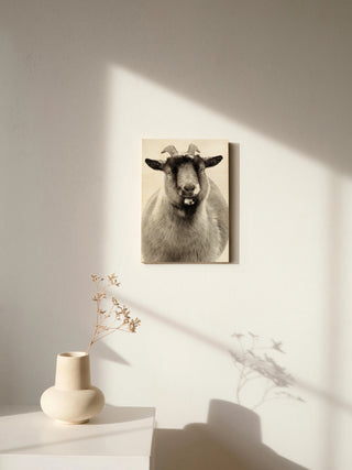 Sally the Goat Print