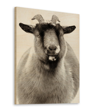 Sally the Goat Print