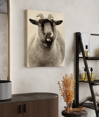 Sally the Goat Print